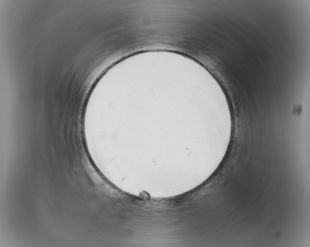 X0000112491189200909281125