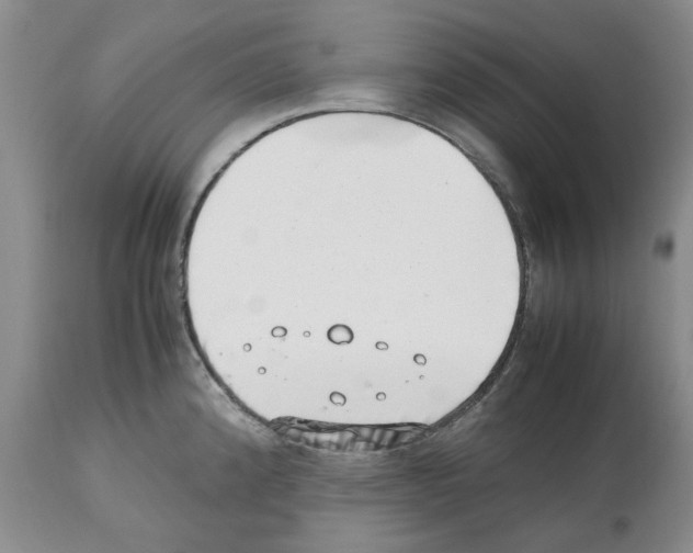 X0000112491192200909281125