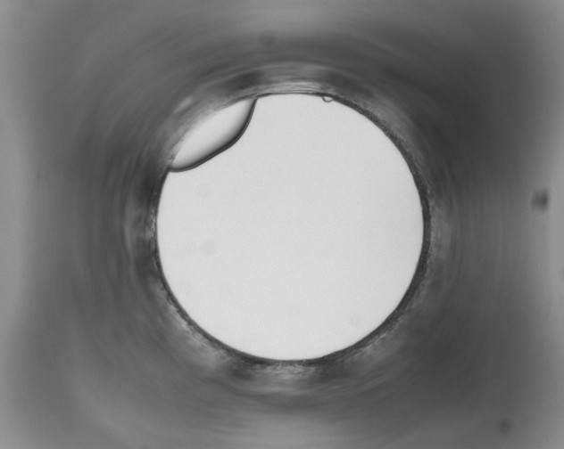 X0000112491193200909281125