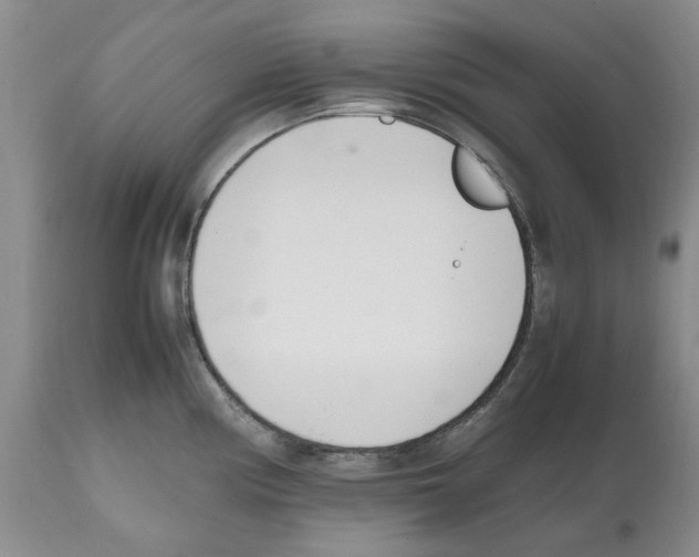 X0000112491194200909281125