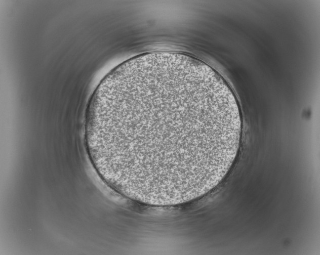 X0000112491195200909281125