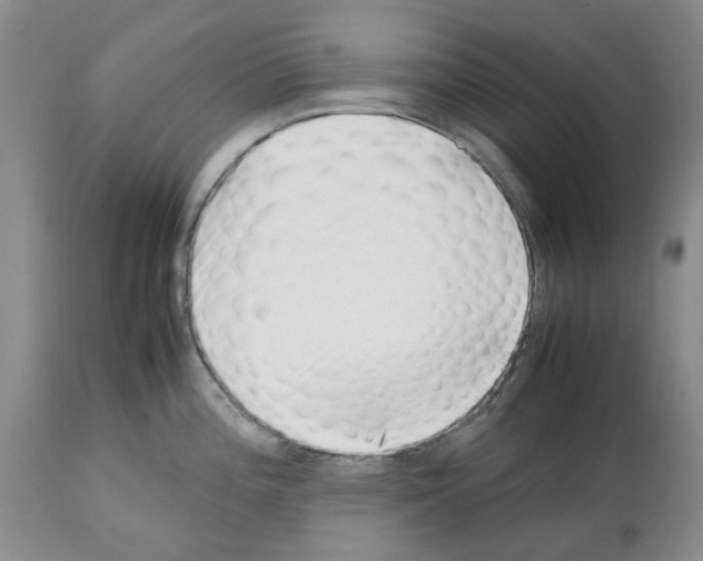 X0000112491196200909281125