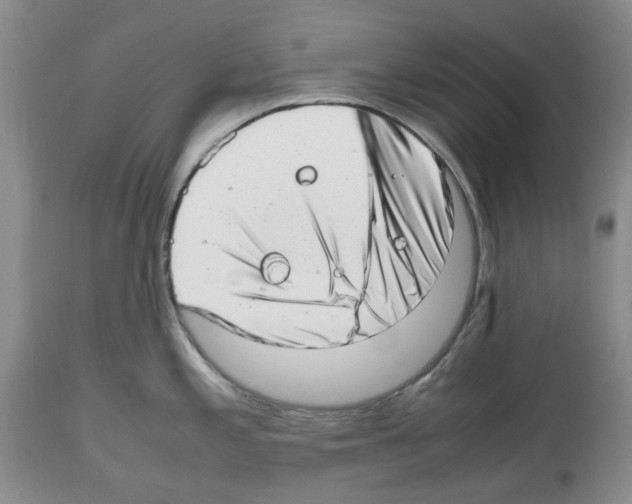 X0000112491197200909281125