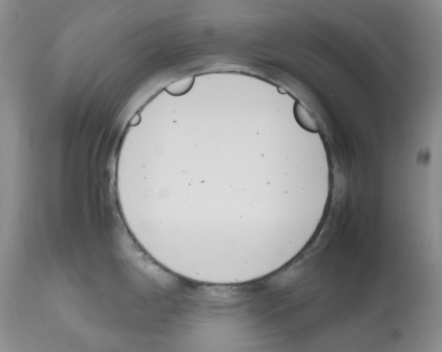 X0000112491198200909281125