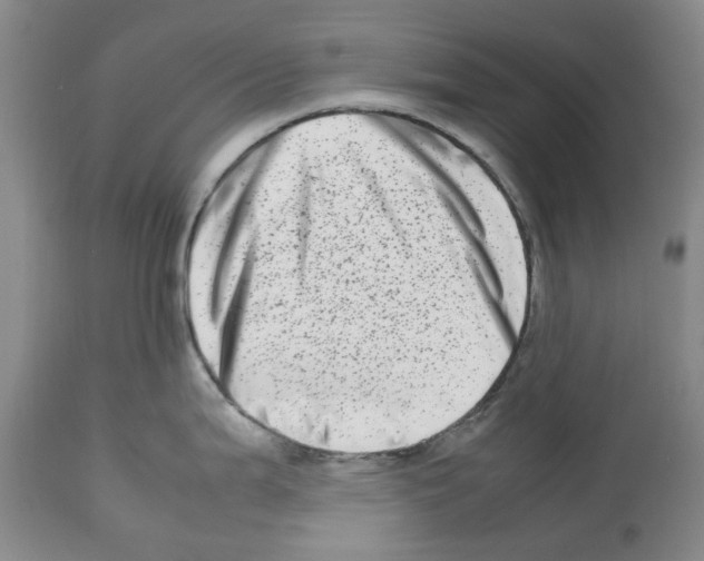 X0000112491199200909281125