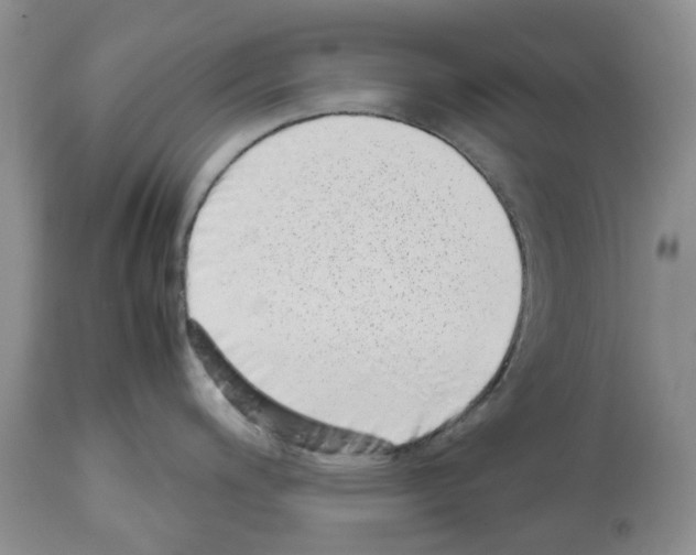 X0000112491200200909281125