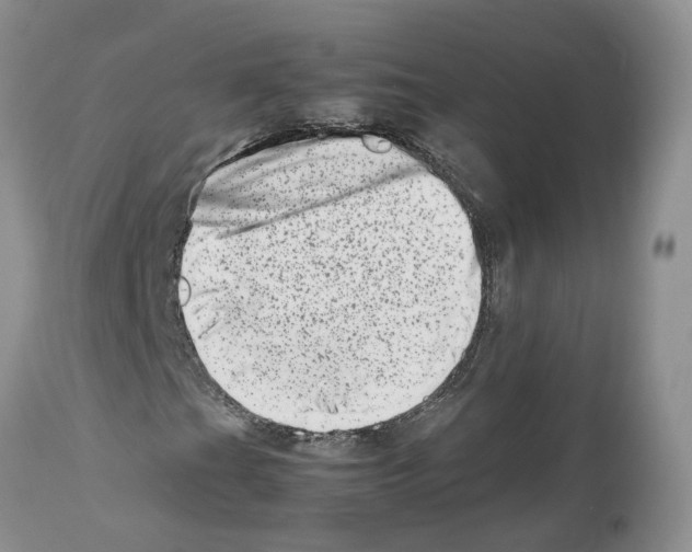X0000112491201200909281125