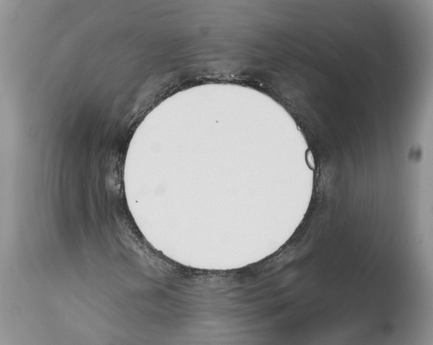 X0000112491202200909281125