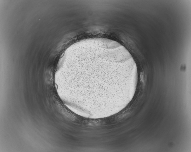 X0000112491203200909281125