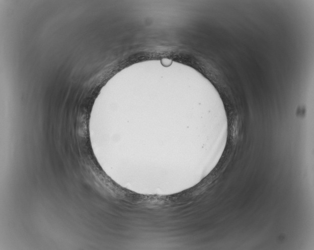 X0000112491204200909281125