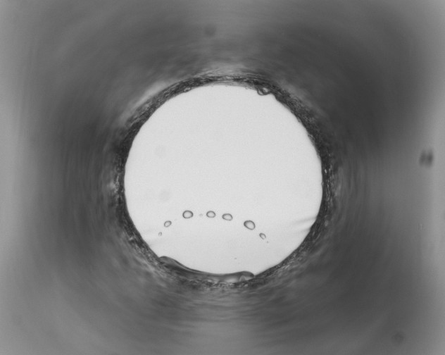 X0000112491206200909281125