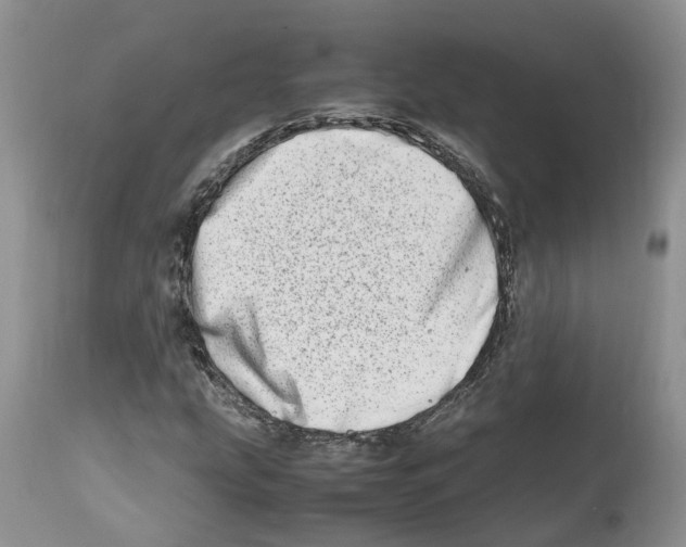 X0000112491207200909281125