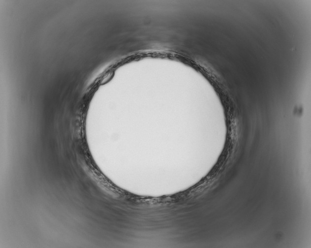 X0000112491208200909281125