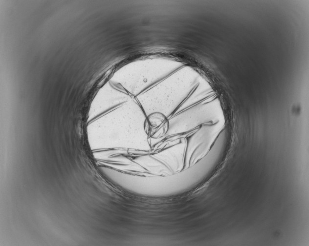 X0000112491209200909281125