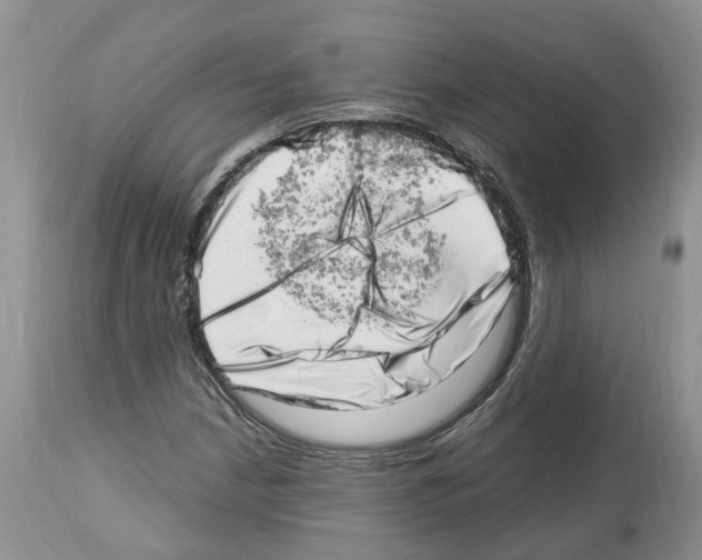 X0000112491210200909281125