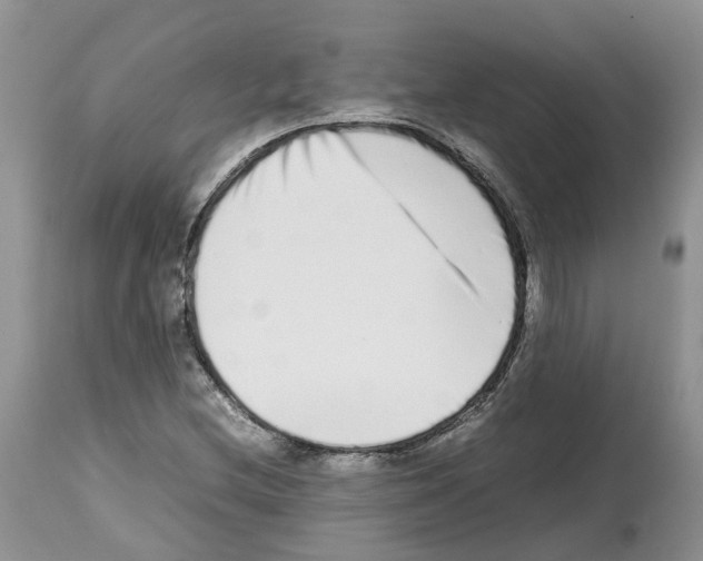 X0000112491212200909281125