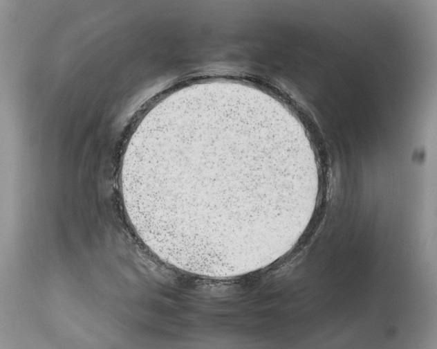 X0000112491213200909281125