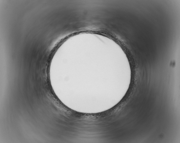 X0000112491214200909281125