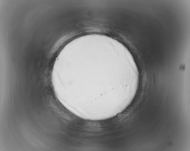X0000112491215200909281125