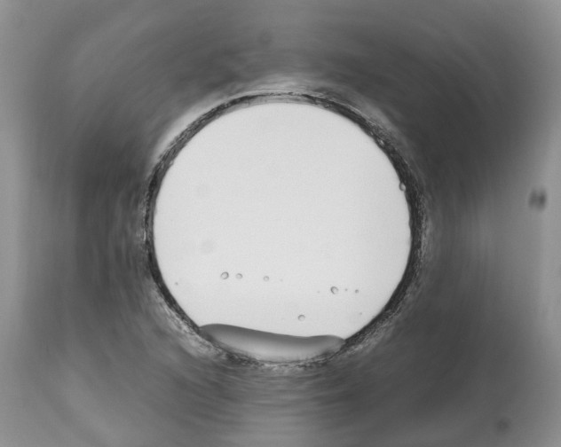 X0000112491216200909281125