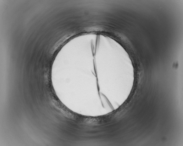 X0000112491217200909281125