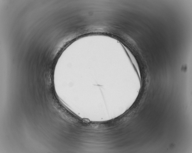 X0000112491218200909281125