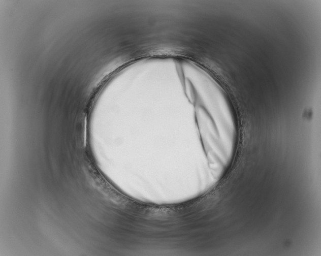 X0000112491219200909281125