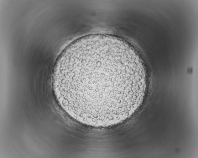 X0000112491220200909281125