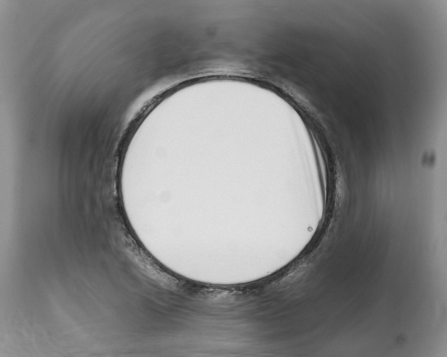 X0000112491222200909281125