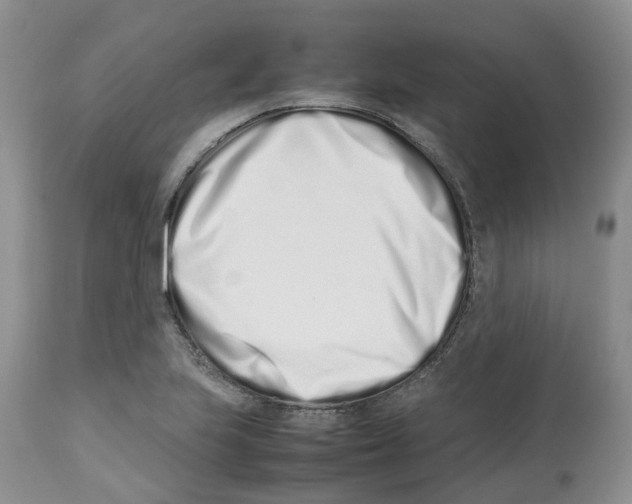 X0000112491223200909281125