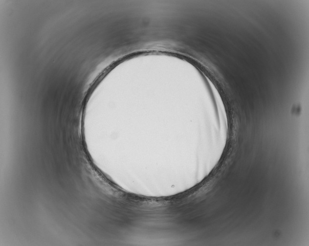 X0000112491224200909281125