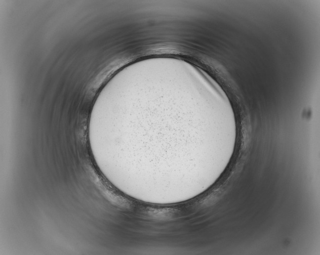 X0000112491225200909281125