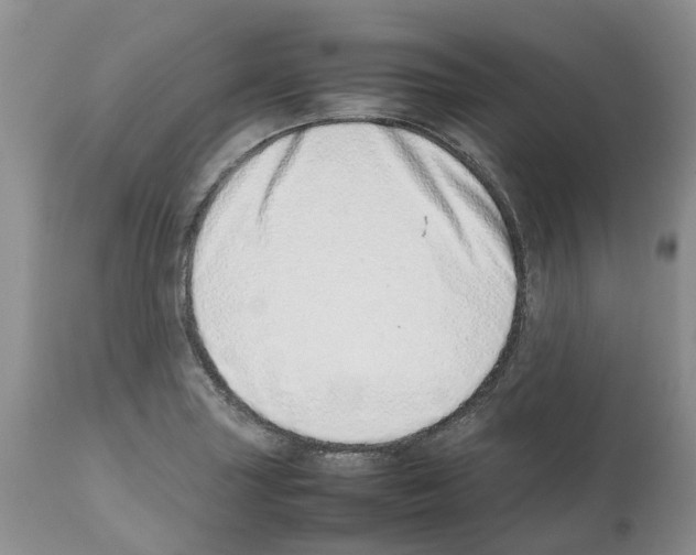 X0000112491227200909281125