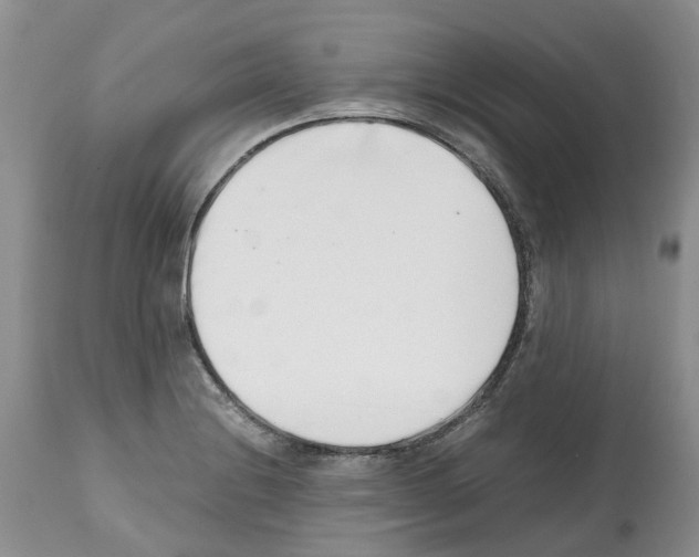 X0000112491228200909281125