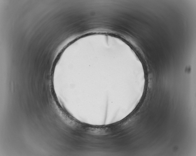 X0000112491229200909281125