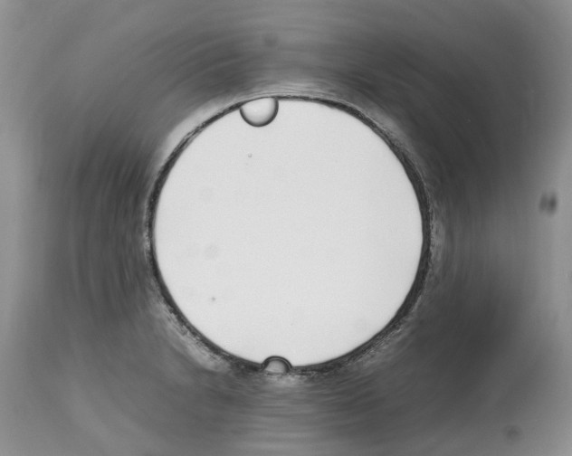X0000112491230200909281125