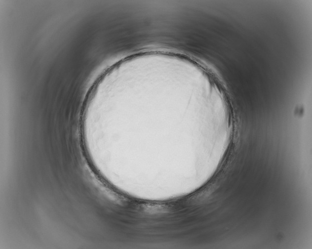 X0000112491231200909281125