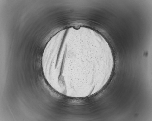 X0000112491233200909281125