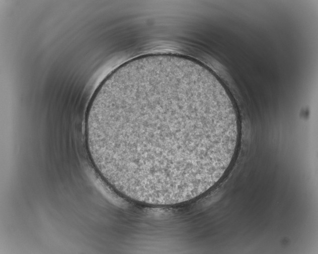 X0000112491234200909281125