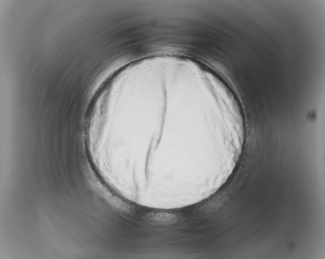 X0000112491235200909281125