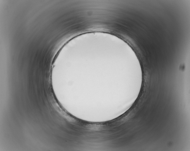 X0000112491236200909281125