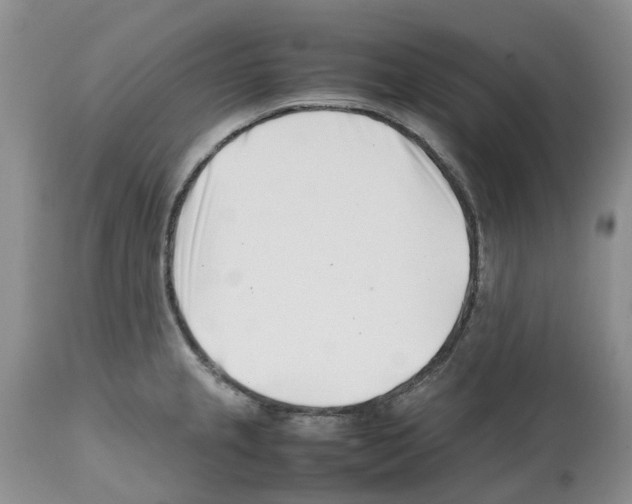 X0000112491237200909281125