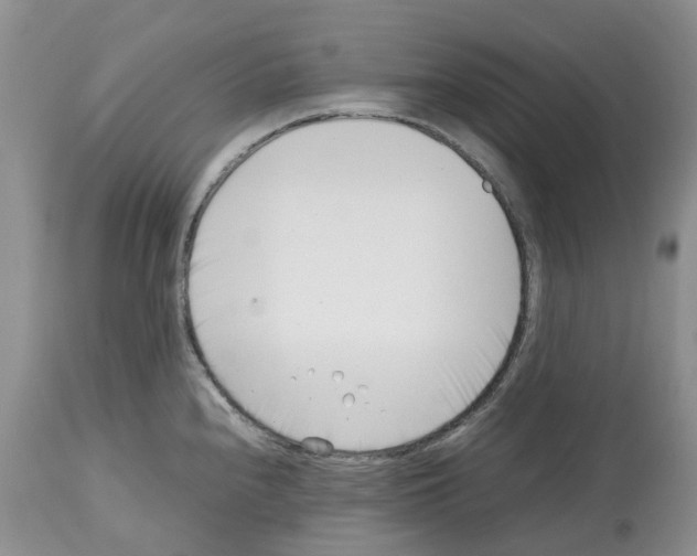 X0000112491240200909281125