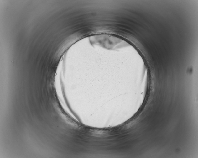 X0000112491241200909281125