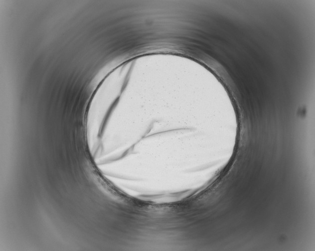X0000112491242200909281125