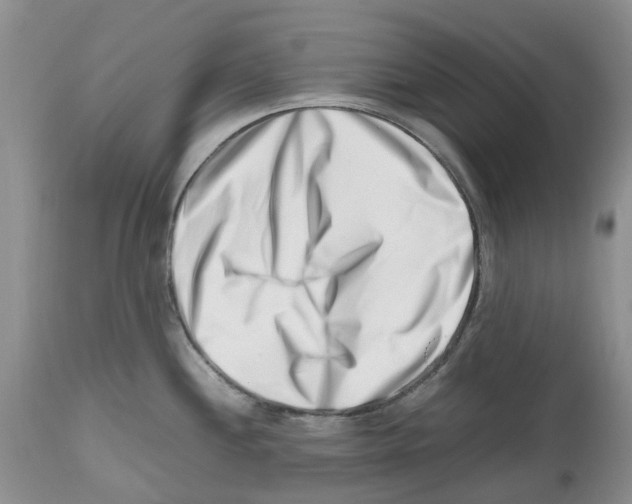 X0000112491244200909281125