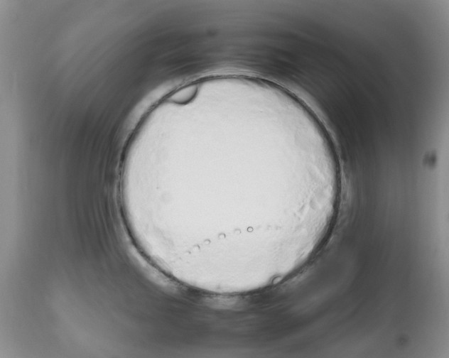 X0000112491245200909281125