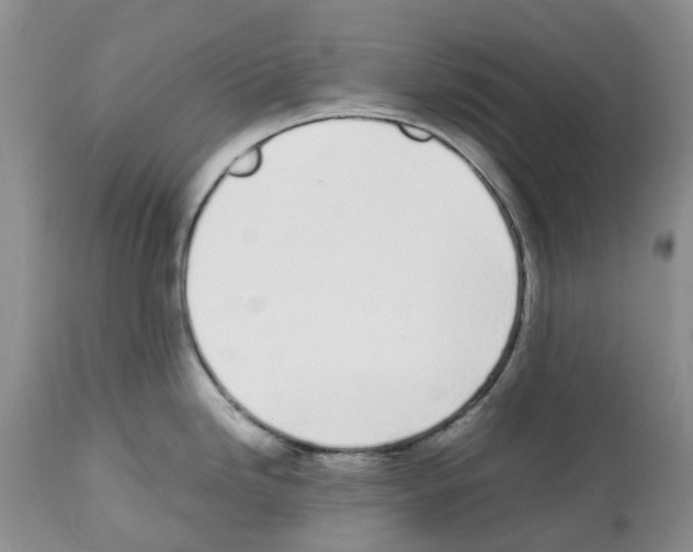 X0000112491246200909281125