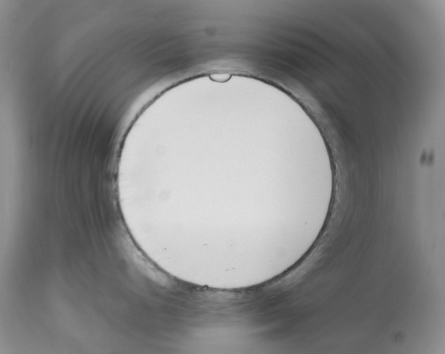 X0000112491248200909281125