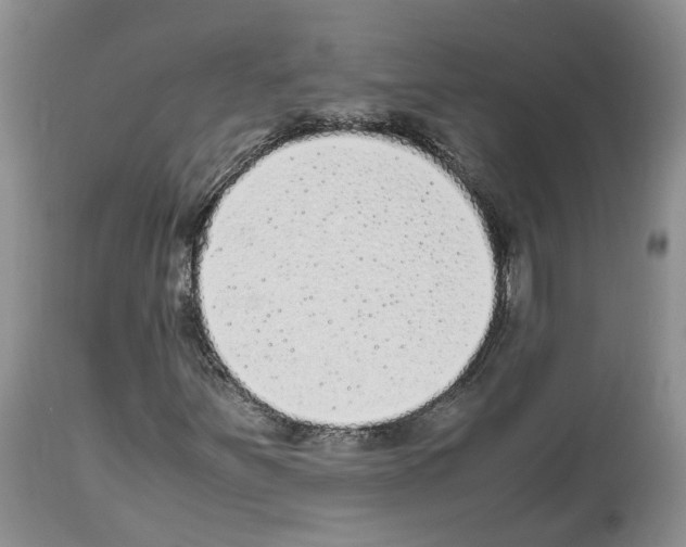 X0000112491251200909281125